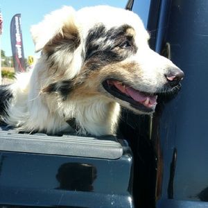 Meet your Posher, Greg