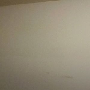 Meet your Posher, Candace