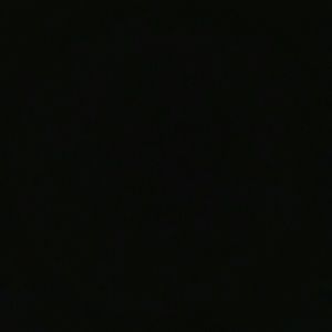 Meet your Posher, Gloria