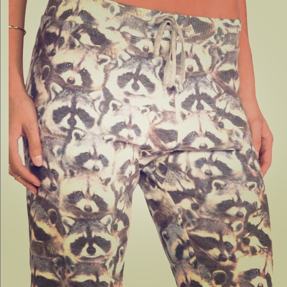 ISO all things fabulous raccoon prints! - Picture 1 of 2