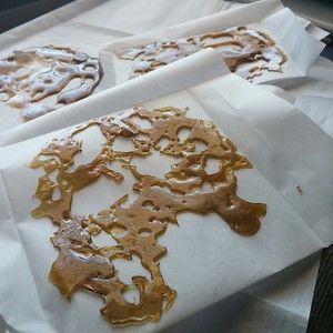 Meet your Posher, Carissa