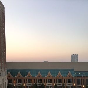 Meet your Posher, Molly