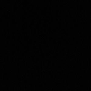 Meet your Posher, Natasha