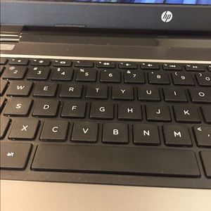 Meet your Posher, Teddy