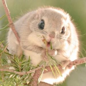 Meet your Posher, Xinmeng