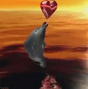 Meet your Posher, Marisol