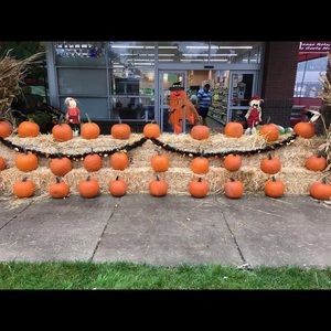 Meet your Posher, Moe