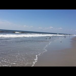 Meet your Posher, Diana