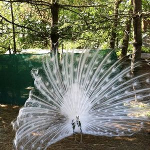 Meet your Posher, Rianna