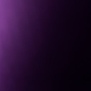 Meet your Posher, Annie