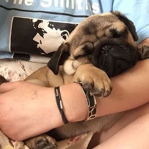 Meet your Posher, Zanetta