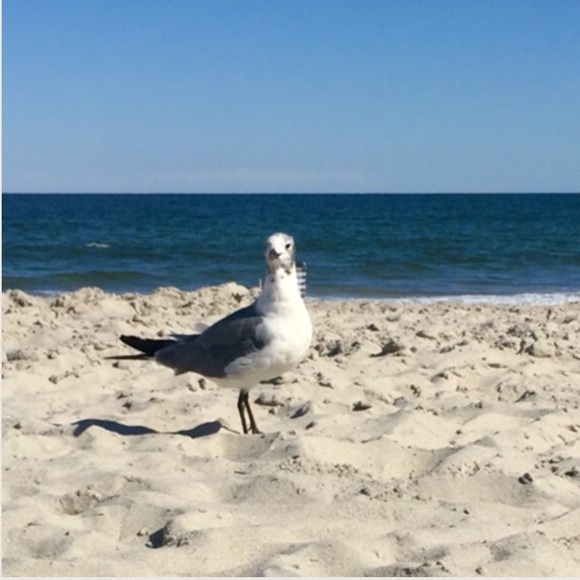 "LovingTheBagandMore" 👛👜🎒👛 - Picture 4 of 4