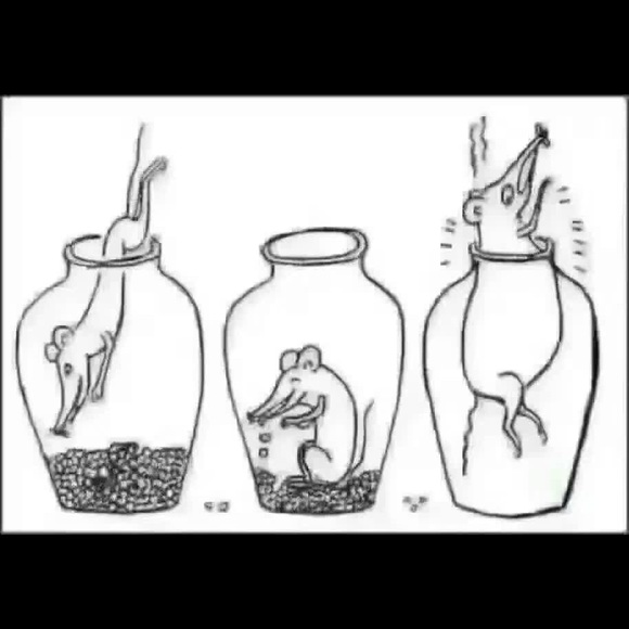 Meet your Posher, Zaixiu - Picture 1 of 1