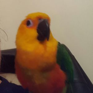 Meet your Posher, April