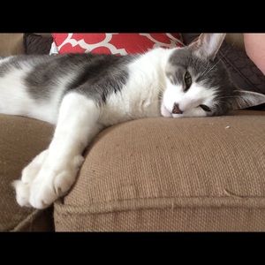 Meet your Posher, Jen