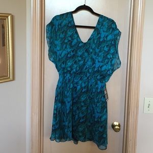 Express dress