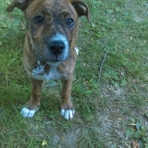 Meet your Posher, Tonia