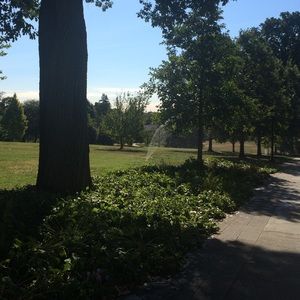 Meet your Posher, Alice