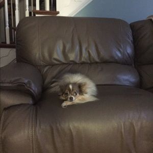 Meet your Posher, Joy