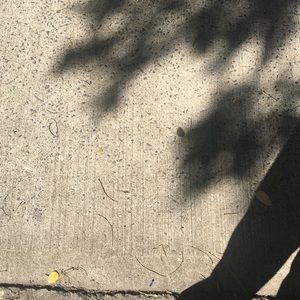 Meet your Posher, Marlo