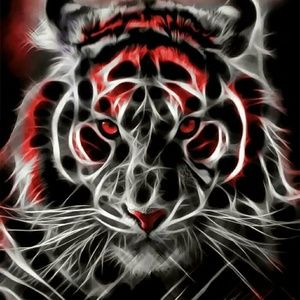 Meet your Posher, Antonio