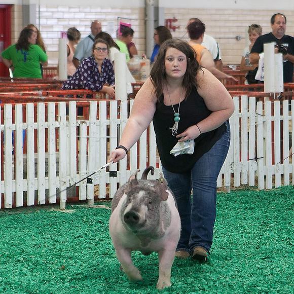 Meet your Posher, Ella