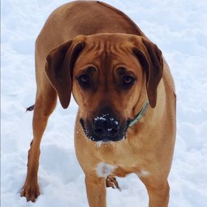 Meet your Posher, Nikki