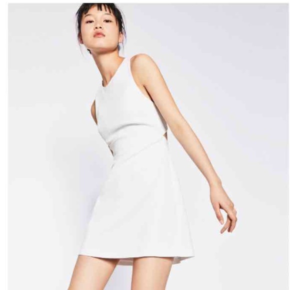 Zara Zip Back Dress