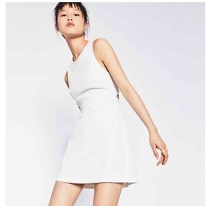 Zara Zip Back Dress