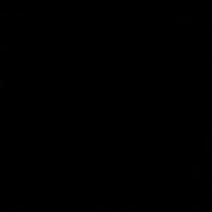 Meet your Posher, Toni