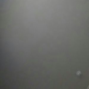 Meet your Posher, Lashawna