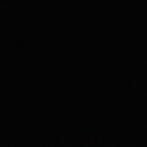 Meet your Posher, Molly