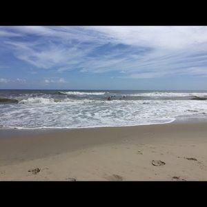 Meet your Posher, Rosanne