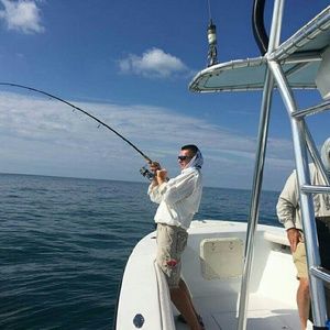 Meet your Posher, Samuel