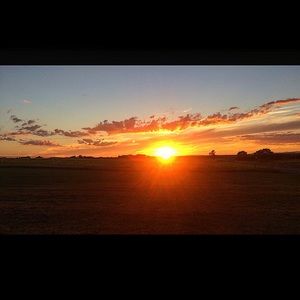 Meet your Posher, Savannah