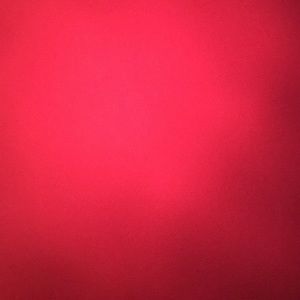 Meet your Posher, Venessa