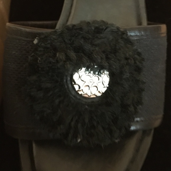 Coach  7 - Picture 4 of 4