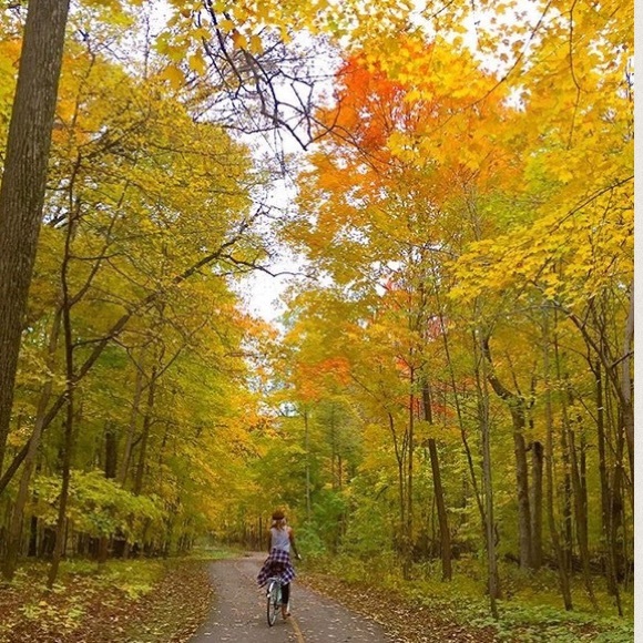 MEET YOUR POSHERS ๐ - Picture 2 of 2