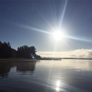 Meet your Posher, Steve