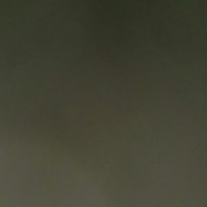 Meet your Posher, Gabby