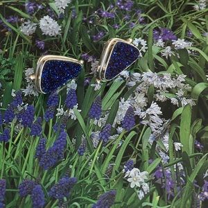 Sarda Sterling Midnite  blue druzy stud earrings