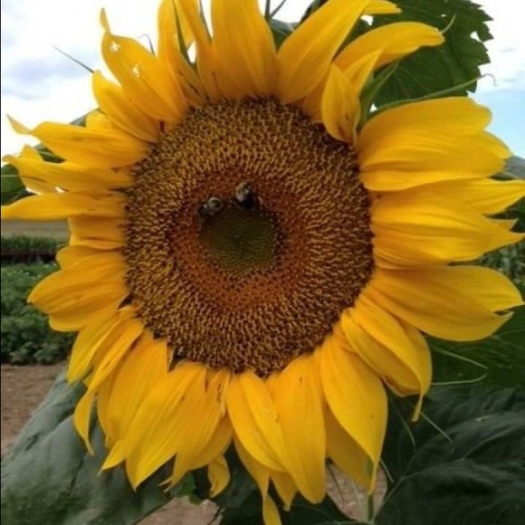 Meet your Posher, Michelle - Picture 1 of 1