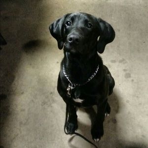 Meet your Posher, Sandy