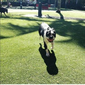 Meet your Posher, Gabrielle