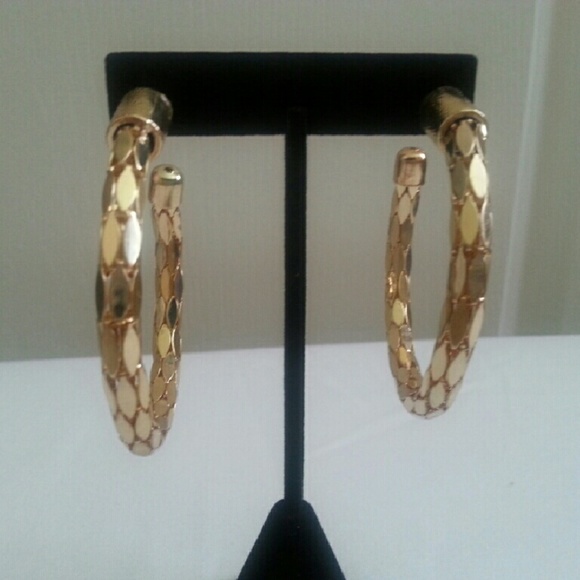 Fashion Hoop Earrings