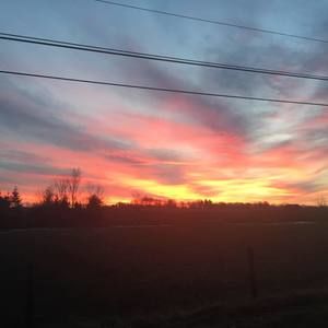 Meet your Posher, Deb