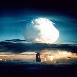 Meet your Posher, Tony