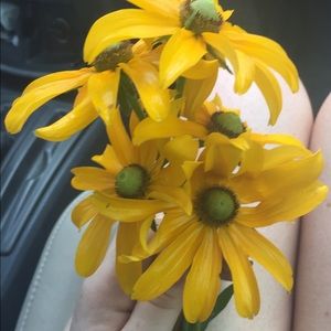 Meet your Posher, Sally