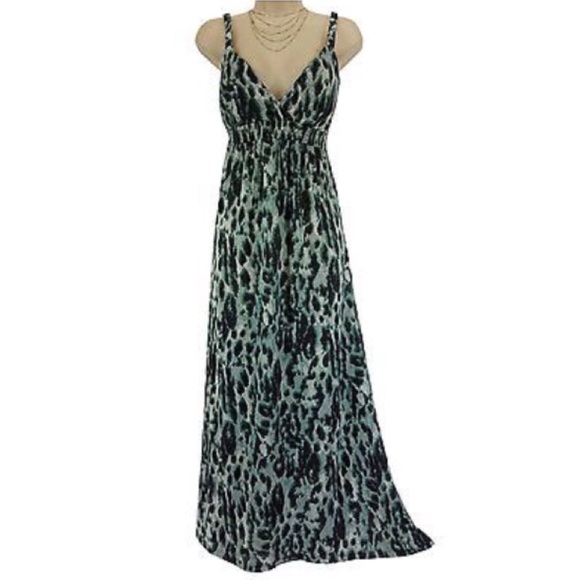 Sexy Animal Print Maxi Dress