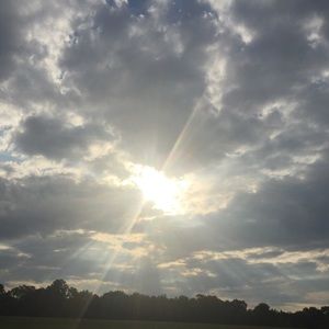 Meet your Posher, Penny